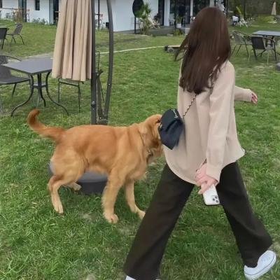 后庭花